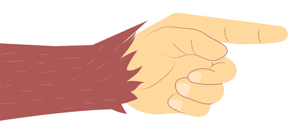 MonkeySoft Solutions